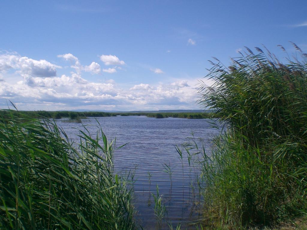 Ferienwohnungen Feldsee Illmitz Exterior photo