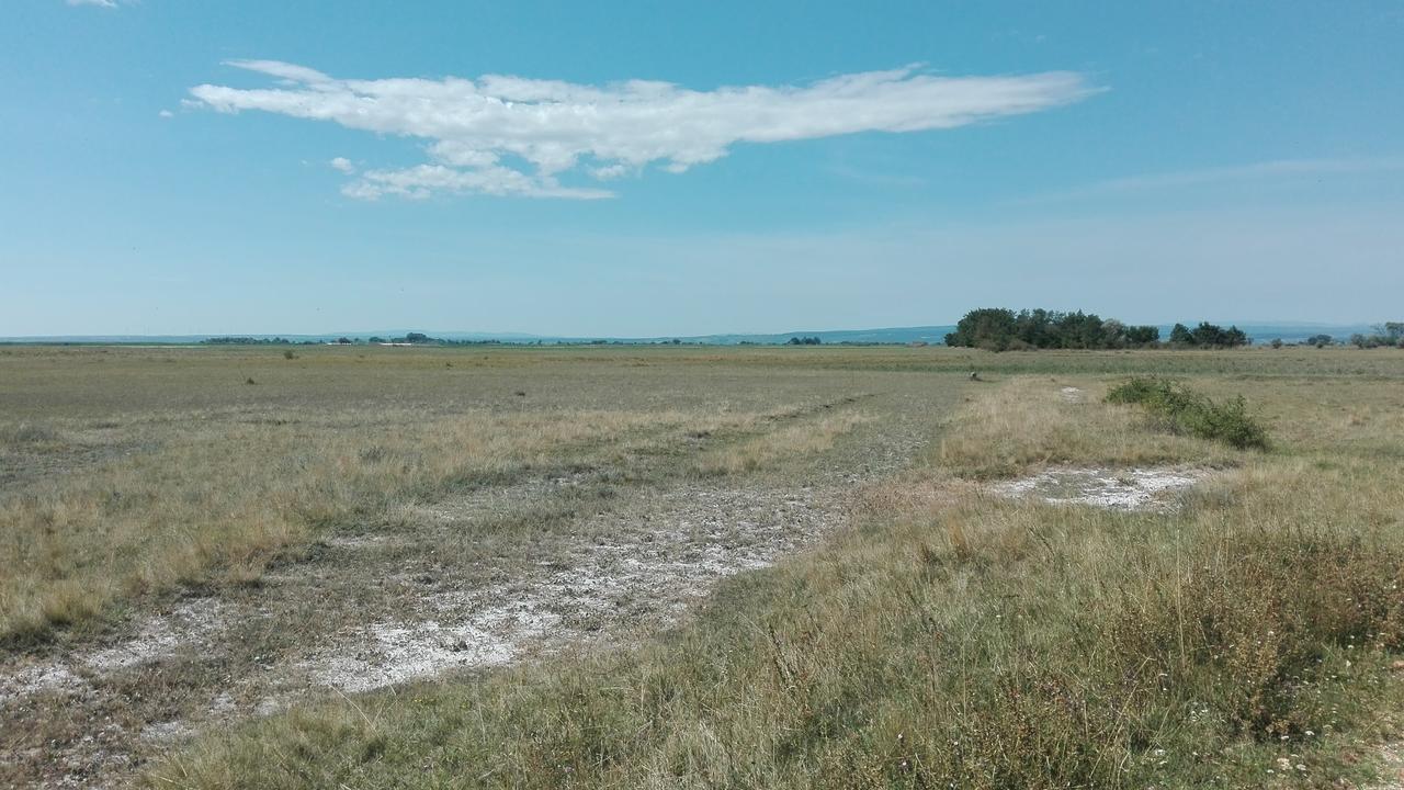 Ferienwohnungen Feldsee Illmitz Exterior photo