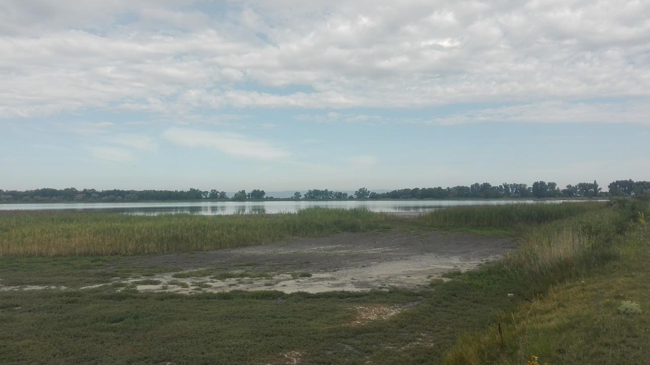 Ferienwohnungen Feldsee Illmitz Exterior photo
